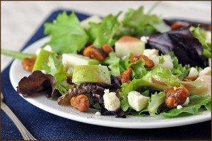 Apple-Salad_Sugar-Glazed-Walnuts_Blue-Cheese_Pomegranate-Vinaigrette_blog